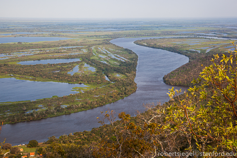 pantanal landscape